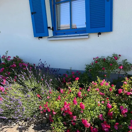 Ferienhaeuser Luv Und Lee Ovs 106 Neu 20 Vakantiehuis *