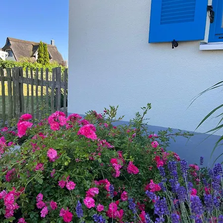 Ferienhaeuser Luv Und Lee Ovs 106 Neu 20 Vakantiehuis Zierow